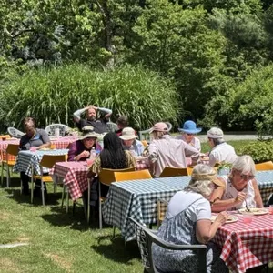 BBQ season is back at the BA!