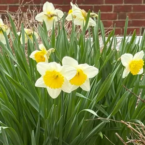 Spring? Is that you? We’re delighted to see the first signs of spring at the BA!
