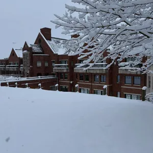 Today at the BA—a winter wonderland! ❄️
