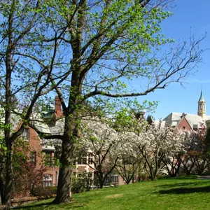 Spring is in full bloom at the BA!