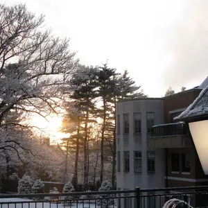 Check out what's happening at the BA this winter! See our link in bio for our latest eNewsletter.