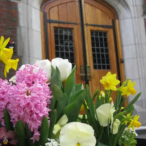 Spring Match Opportunity! 
Now through June 30 all gifts to the General Fund will be matched dollar for dollar. You’ll be supporting the BA’s Christian Science nursing services.  
Thank you for your support of the BA!
See link in bio to give.