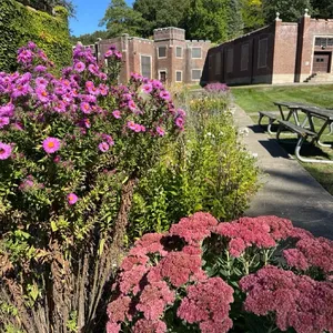 Fall beauty in bloom at the BA!