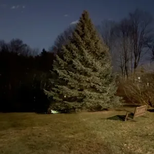 5…4…3…2…1…light the tree!!!