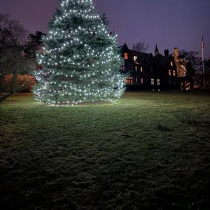 Merry Christmas from the BA! 🎄