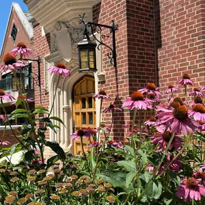 Cheery August coneflowers welcome you to our Christian Science Nursing Building!