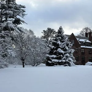 Learn what's new at the BA! Check out our latest newsletter at our link in bio.